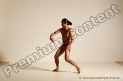 Elmer - Traditional Korean Art